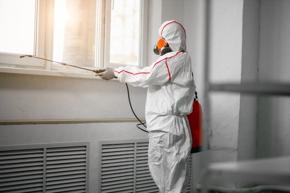 Professional mold remediation services in Ledyard, CT